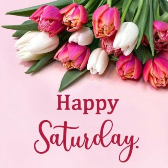 🛍️OFFERS WELCOME! 🛍️ - Picture 2 of 14